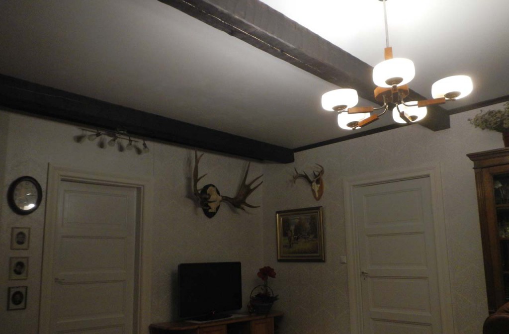 Sisutushirret40_50_1280